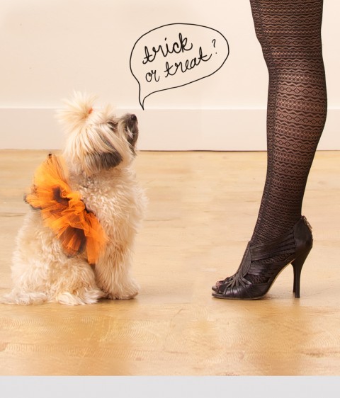 Ashley Brooke Designs_Trick or Treat